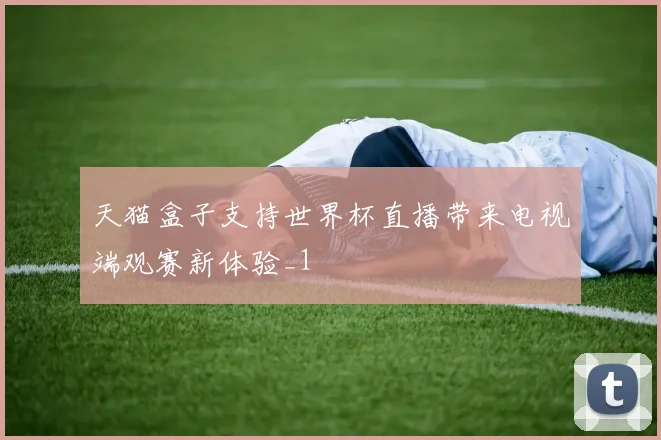 天猫盒子支持世界杯直播带来电视端观赛新体验_1
