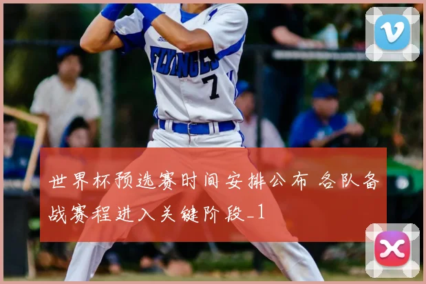 世界杯预选赛时间安排公布 各队备战赛程进入关键阶段_1