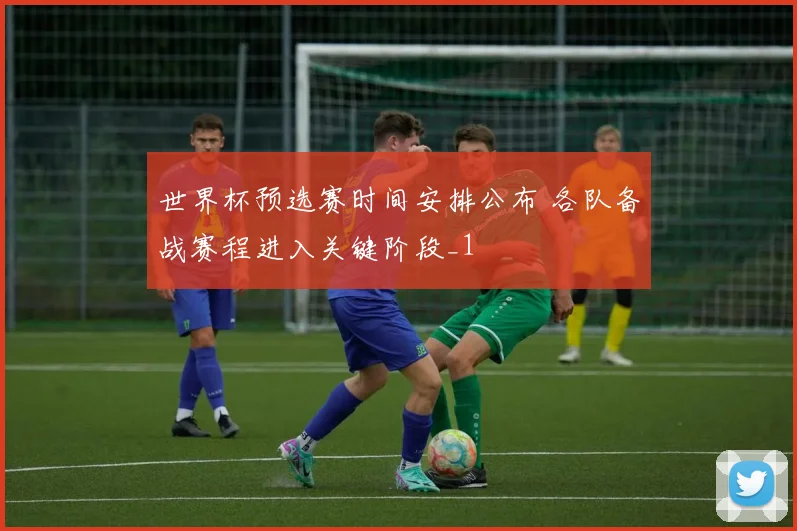 世界杯预选赛时间安排公布 各队备战赛程进入关键阶段_1
